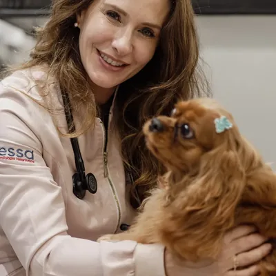 Veterinária no colo com um cão durante o atendimento