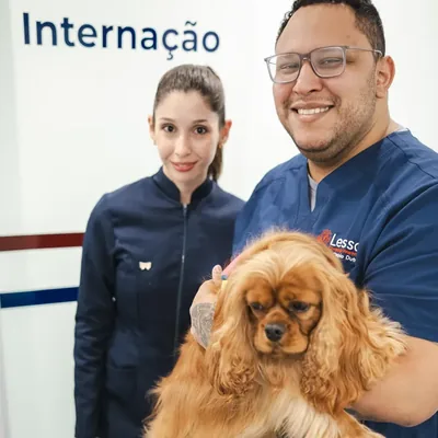 Equipe da Lessa na ala de internação com um cão no colo